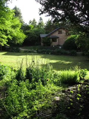 a house in the middle of a yard with trees at Cabañas Mirasoles in Villa General Belgrano