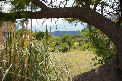 a view of a field from under a tree at Complejo San Pio in Villa Icho Cruz