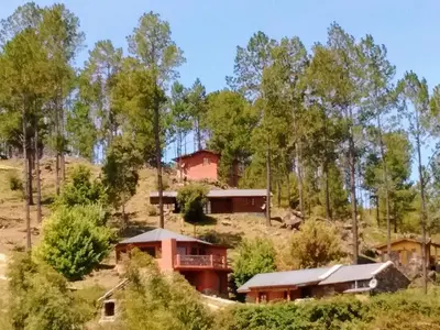 a house on the side of a hill with trees at Serranias Del Tabaquillo in San Miguel de los Rios