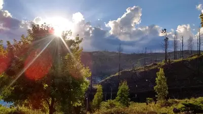 a sun shines through the trees on a hill at Serranias Del Tabaquillo in San Miguel de los Rios