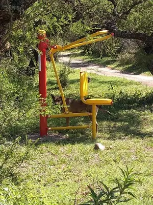 a yellow chair sitting next to a red fire hydrant at Campo de los Zorros in Nono