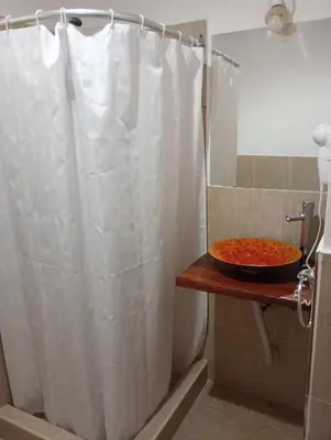 a bathroom with a white shower curtain and a pizza on a table at Campo de los Zorros in Nono