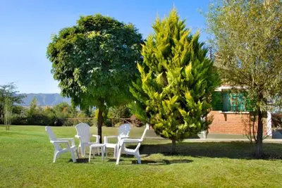 a group of white chairs and trees in the grass at Cabañas Dolce Vita I in Los Reartes