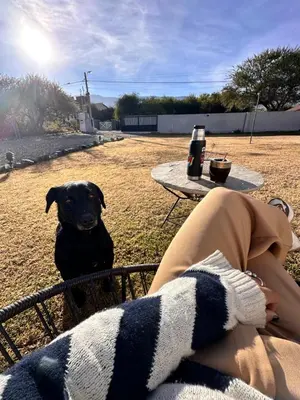 a black dog sitting next to a picnic table at Villa Bonita Cabañas Villa de Merlo in Merlo