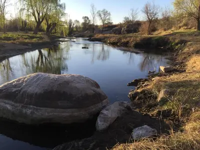 a river with a rock in the middle of it at Hosteria Renca in Renca
