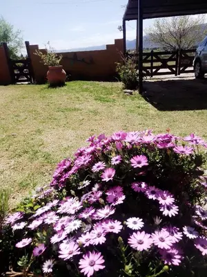 a bunch of purple and white flowers in a yard at Cabañas Terra Natura in Bialet Massé