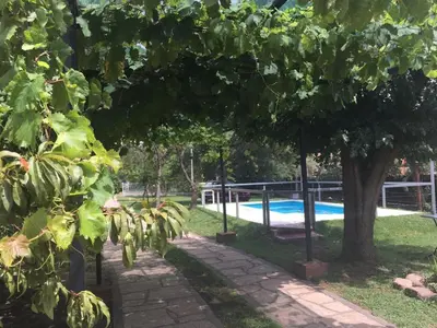 a garden with a swimming pool and a tree at El Chinchero Departamentos in Merlo
