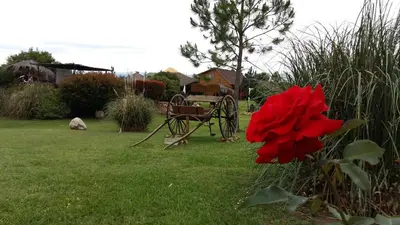 a red flower and an old cart in a yard at Rancho Paradise - Adults Only in Nono