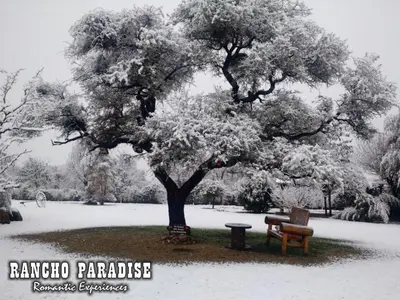 a park with a bench and a tree in the snow at Rancho Paradise - Adults Only in Nono