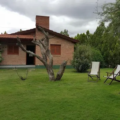 a tree sitting in the grass next to a house at Cabañas Tia Elmira in Villa Cura Brochero
