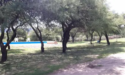 a group of trees in a park with a pool at Cabañas Tia Elmira in Villa Cura Brochero