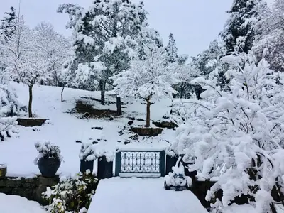 a snow covered garden with trees and a bench at Cielo de Piedra. Cabañas y Petit Hotel in Tanti