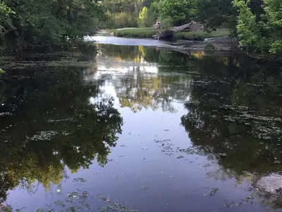 a river with a reflection of trees in the water at Cielo de Piedra. Cabañas y Petit Hotel in Tanti