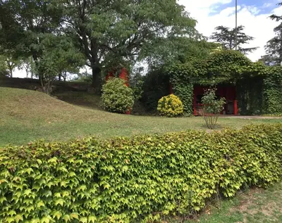 a hedge in front of a house at Cielo de Piedra. Cabañas y Petit Hotel in Tanti