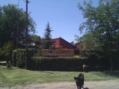 a black dog walking in front of a sign at Campiranas in Los Reartes