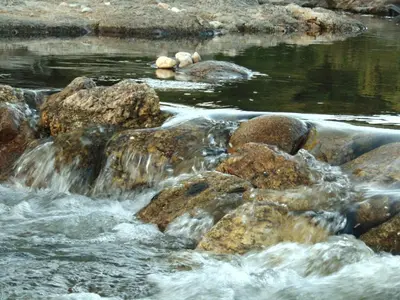 a stream of water with rocks in a river at Hosteria Aguas Claras in Mina Clavero