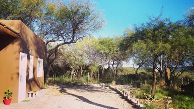 a dirt road next to a house with trees at Entre Sierras y Pajaros in Las Rabonas