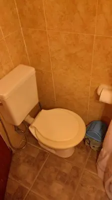 a bathroom with a white toilet in a room at Lo de Lili Departamentos Mina Clavero in Mina Clavero
