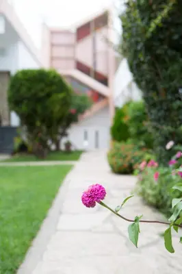 a pink flower is on the side of a sidewalk at Hotel Los Aromos in Mina Clavero
