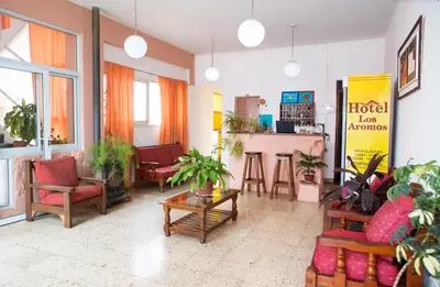 a living room filled with lots of plants at Hotel Los Aromos in Mina Clavero