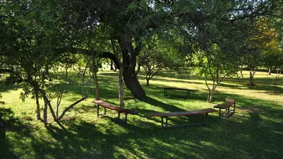 two benches sitting under a tree in a park at El Caserio Casas de Campo in Villa Cura Brochero