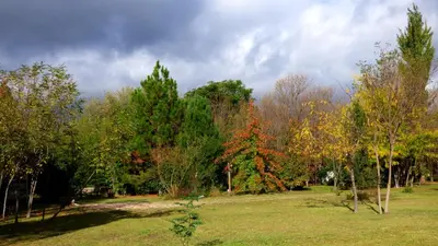 a group of trees in a field with a cloudy sky at El Caserio Casas de Campo in Villa Cura Brochero
