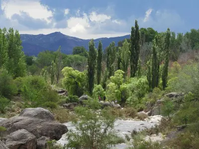 a river in a field with trees and rocks at Posada Terracota in Nono
