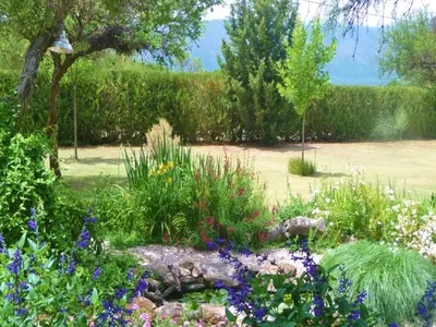 a garden with colorful flowers and plants at Posada Terracota in Nono