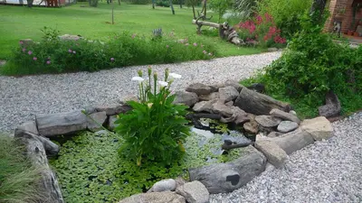 a garden with a pond with rocks and flowers at Posada Terracota in Nono