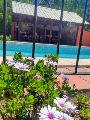 a bunch of flowers in front of a swimming pool at Cabañas Buen Dia in Villa Serranita