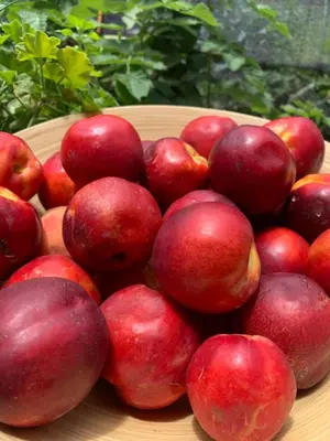 a pile of red apples on a wooden plate at Entre Flores in Los Hornillos