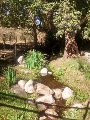 a garden with rocks and a tree and a pond at Entre Flores in Los Hornillos