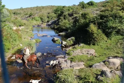a man on a horse crossing a river with animals at Cabatanti in Tanti