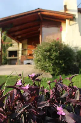 a bush with pink flowers in front of a house at Cabatanti in Tanti