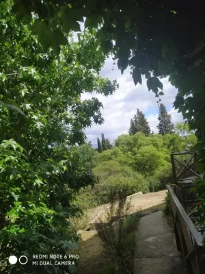 a path through the trees in a park at Casas Altas VGB in Villa General Belgrano