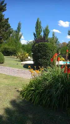 a garden with a bunch of flowers and bushes at Finca El Amparo in Los Reartes