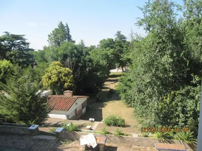 a view of a yard with trees and a house at El Cortijo de la villa in Villa Independencia