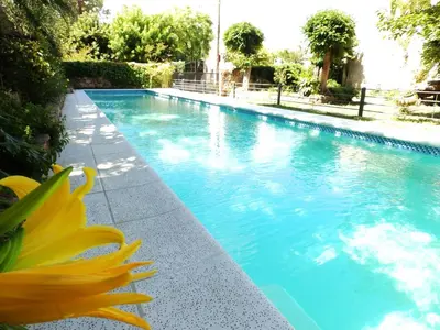 a yellow flower sitting next to a swimming pool at Hotel Sierras in Mina Clavero