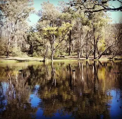 a body of water with trees and reflections in it at Quinta Santana in José de la Quintana