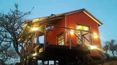 a tree house with its lights on at Quinta Santana in José de la Quintana