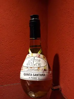 a bottle of wine is hanging on a wall at Quinta Santana in José de la Quintana
