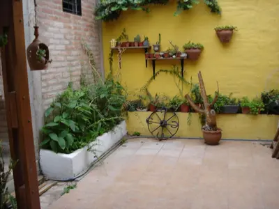 a yellow wall with a bunch of potted plants at Casa Villa Carlos Paz in Villa Carlos Paz