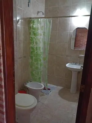 a bathroom with a toilet and a sink at Complejo Navi in Mina Clavero