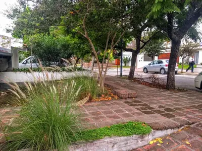 a brick walkway with plants and trees on a street at Cozy apartment in Cordoba in Cordoba