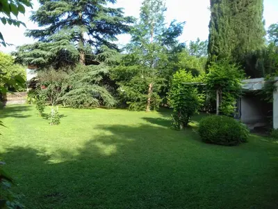a yard with green grass and trees and a house at La casa de Almirall in Santa Rosa de Calamuchita
