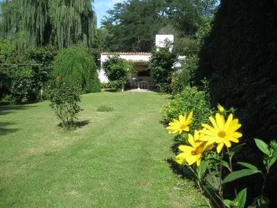 a garden with yellow flowers and a house in the background at La casa de Almirall in Santa Rosa de Calamuchita