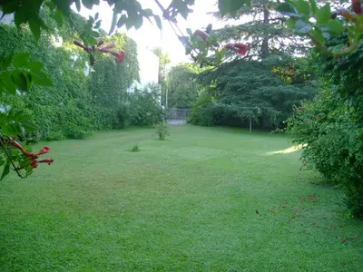 a large yard with green grass and trees at La casa de Almirall in Santa Rosa de Calamuchita