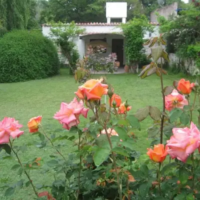 La casa de Almirall