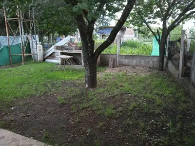 a tree in a yard with a table and stairs at Casa Reinamora in Villa Parque Siquiman