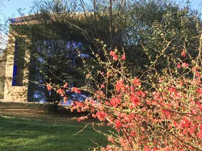 a bush with red flowers in front of a building at Raco De La Calma in Nono